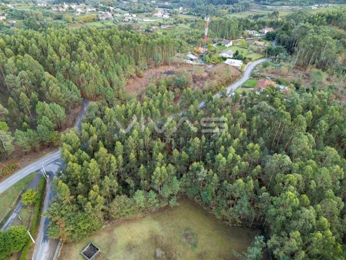 Terreno para Venda em Dossãos Foto 17