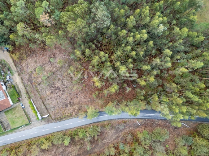 Terreno para Venda em Dossãos Foto 9