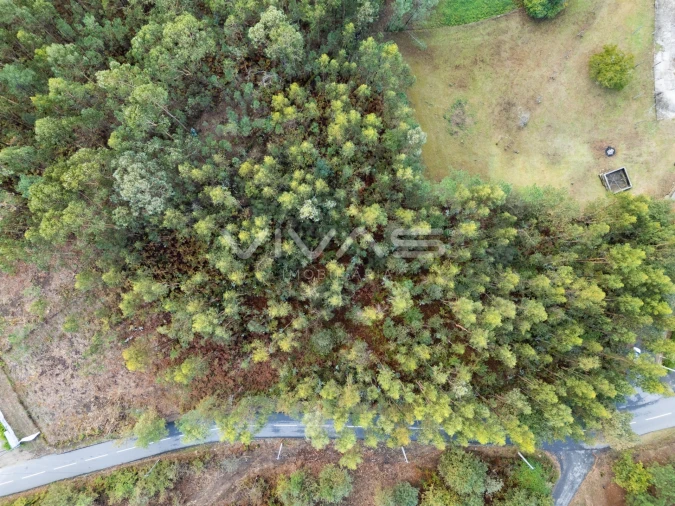Terreno para Venda em Dossãos Foto 9