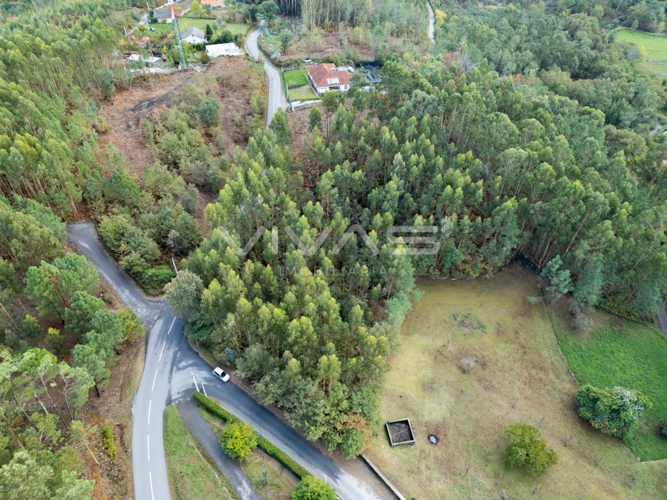 Terreno para Venda em Dossãos Foto 11