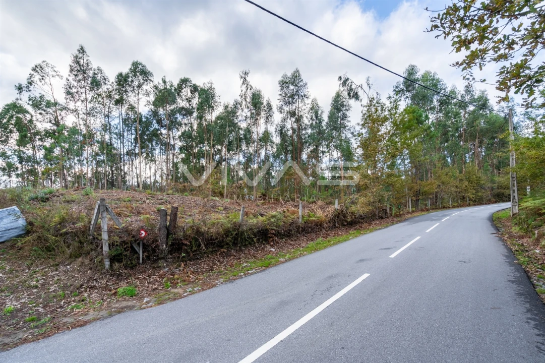 Terreno para Venda em Dossãos Foto 19