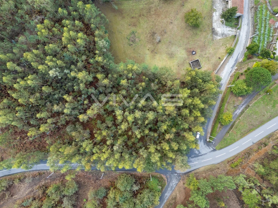 Terreno para Venda em Dossãos Foto 10