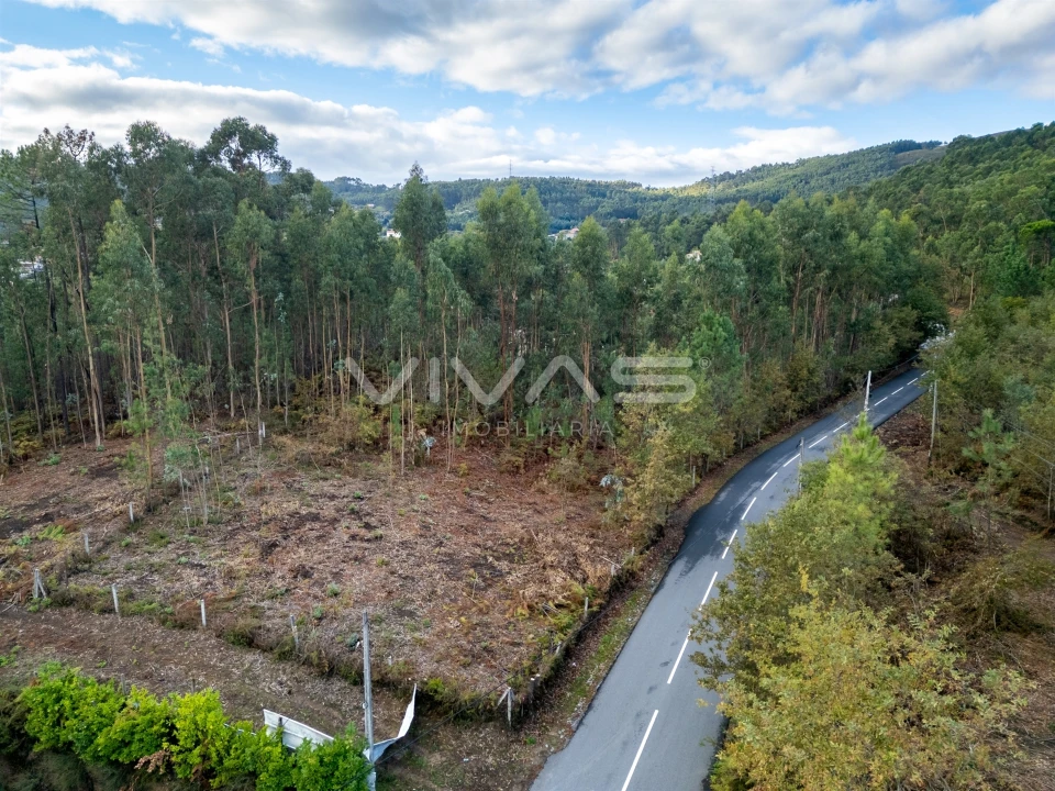 Terreno para Venda em Dossãos Foto 13