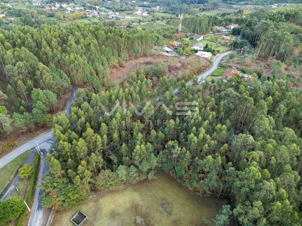 Terreno para Venda em Dossãos Foto 17