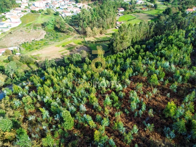 Terreno Agricola ou Rústico para Venda em São Roque Foto 3