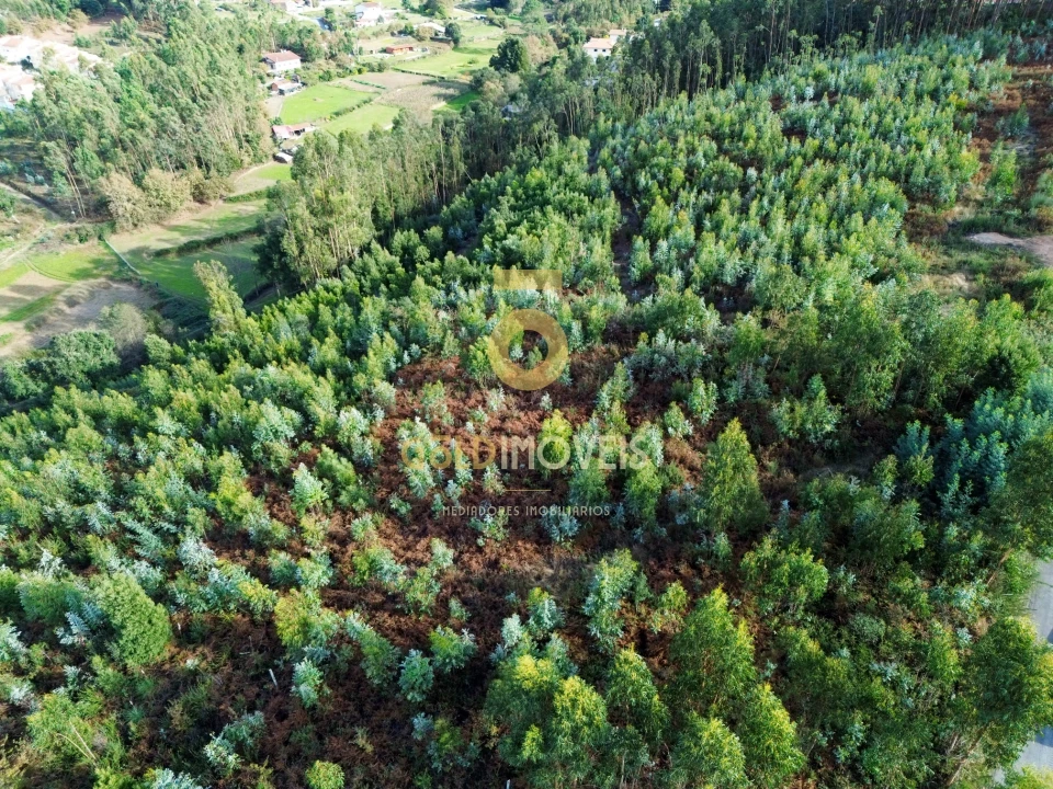 Terreno Agricola ou Rústico para Venda em São Roque Foto 2