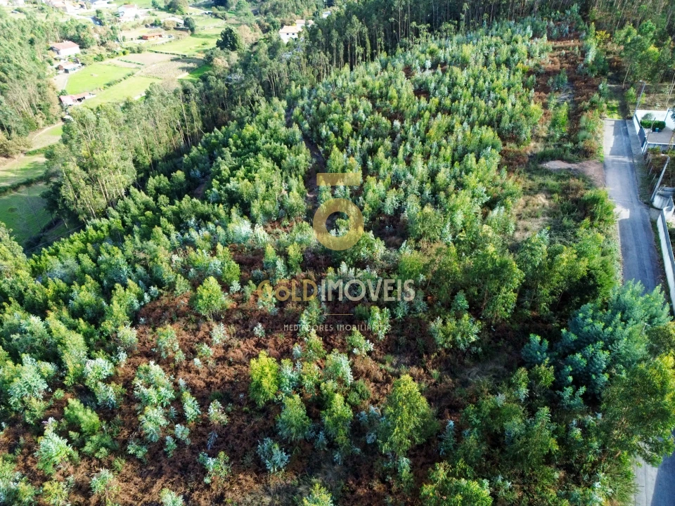 Terreno Agricola ou Rústico para Venda em São Roque Foto 1