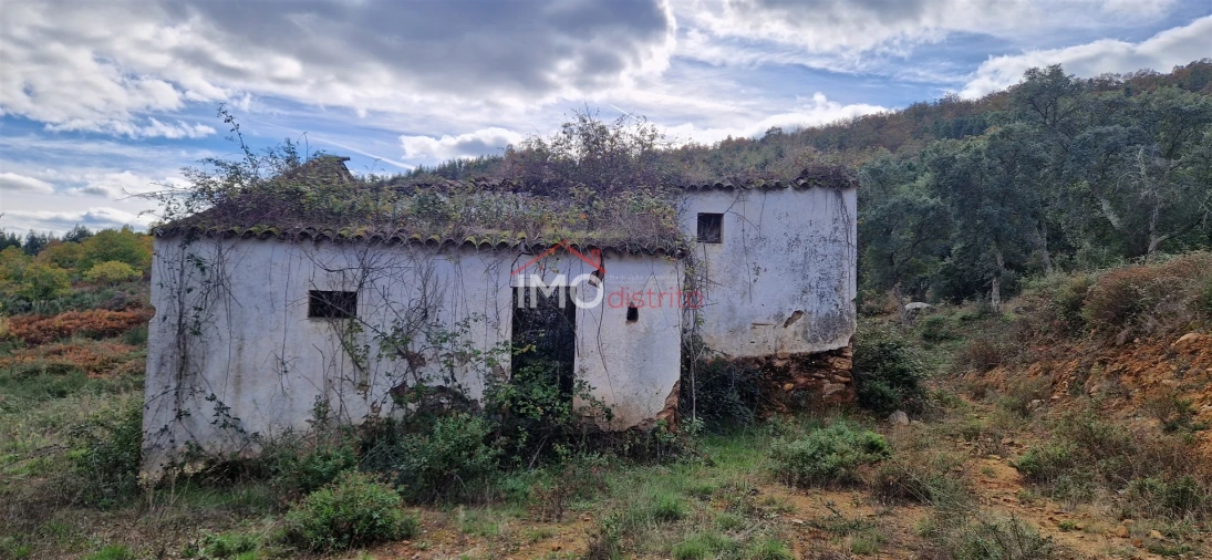 Quinta T2 para Venda em São Salvador da Aramenha Foto 6