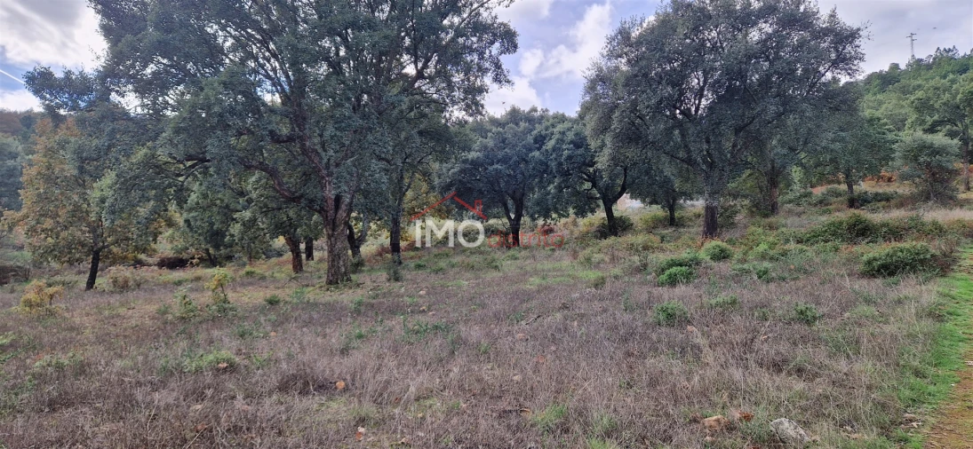 Quinta T2 para Venda em São Salvador da Aramenha Foto 17