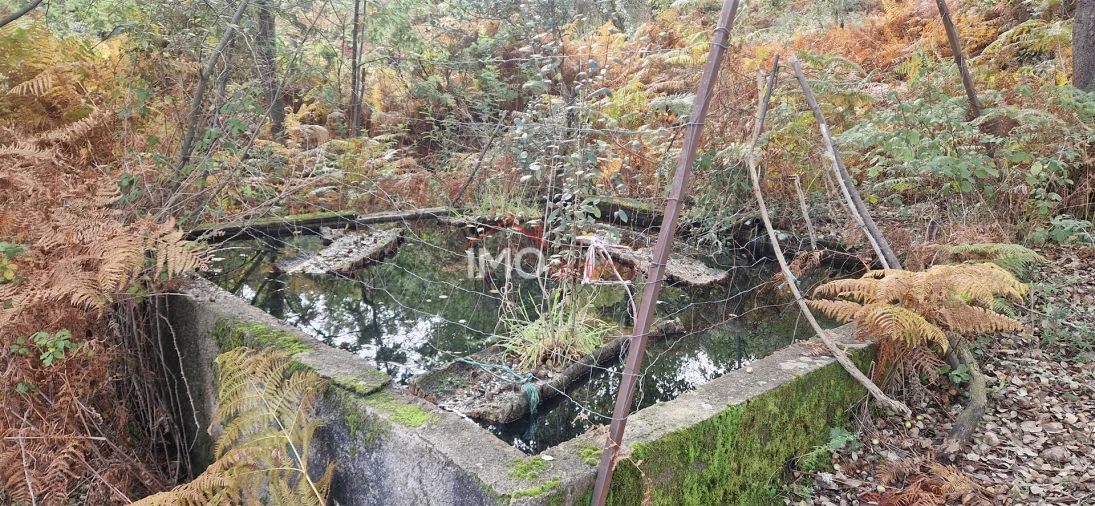 Quinta T2 para Venda em São Salvador da Aramenha Foto 10