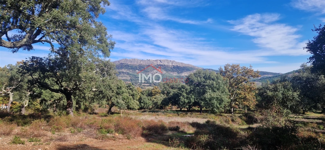 Quinta T2 para Venda em São Salvador da Aramenha Foto 9