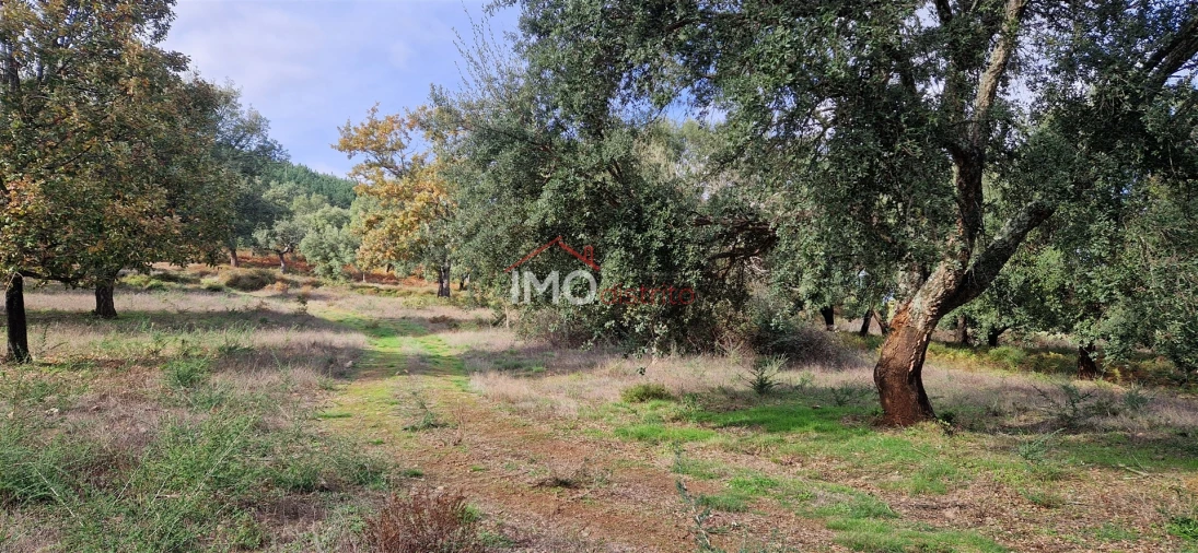 Quinta T2 para Venda em São Salvador da Aramenha Foto 5
