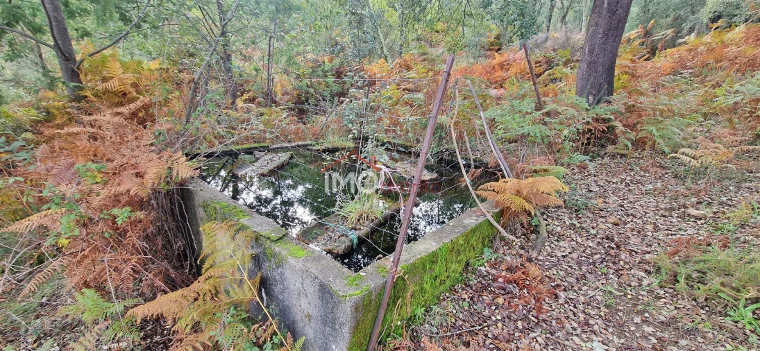 Quinta T2 para Venda em São Salvador da Aramenha Foto 14