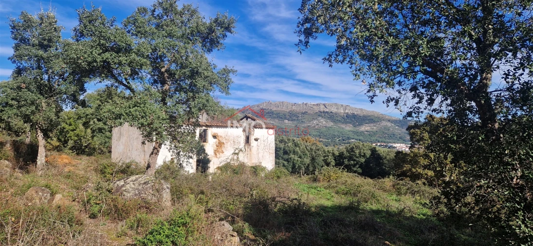Quinta T2 para Venda em São Salvador da Aramenha Foto 8