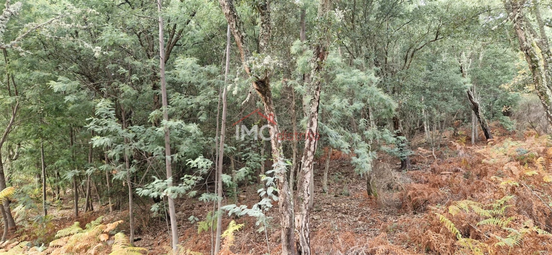 Quinta T2 para Venda em São Salvador da Aramenha Foto 12