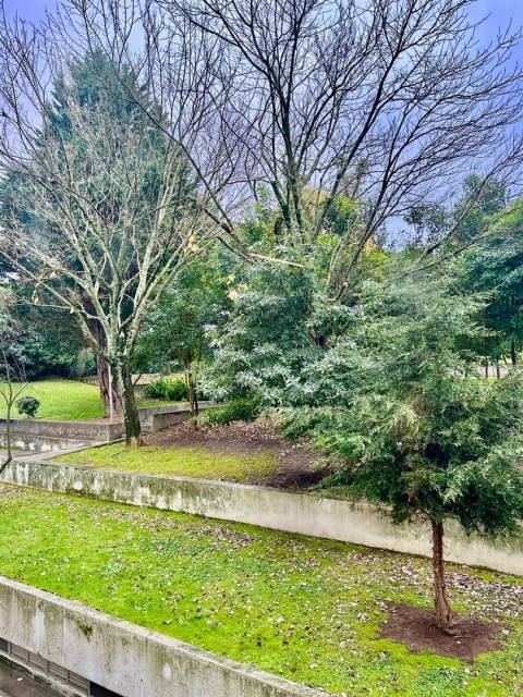 Apartamento T1 para Arrendamento em Aldoar, Foz do Douro e Nevogilde