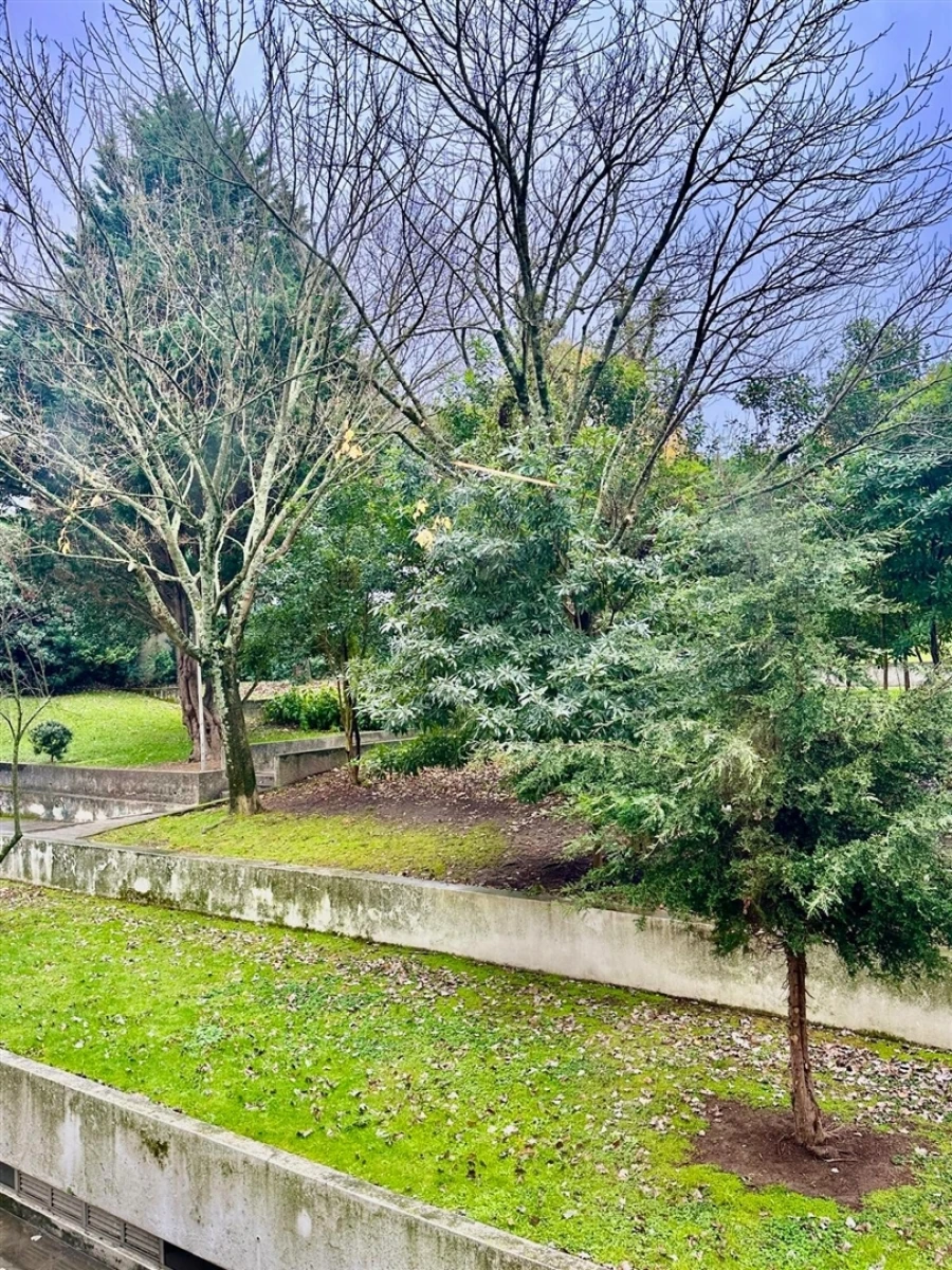 Apartamento T1 para Arrendamento em Aldoar, Foz do Douro e Nevogilde Foto 13