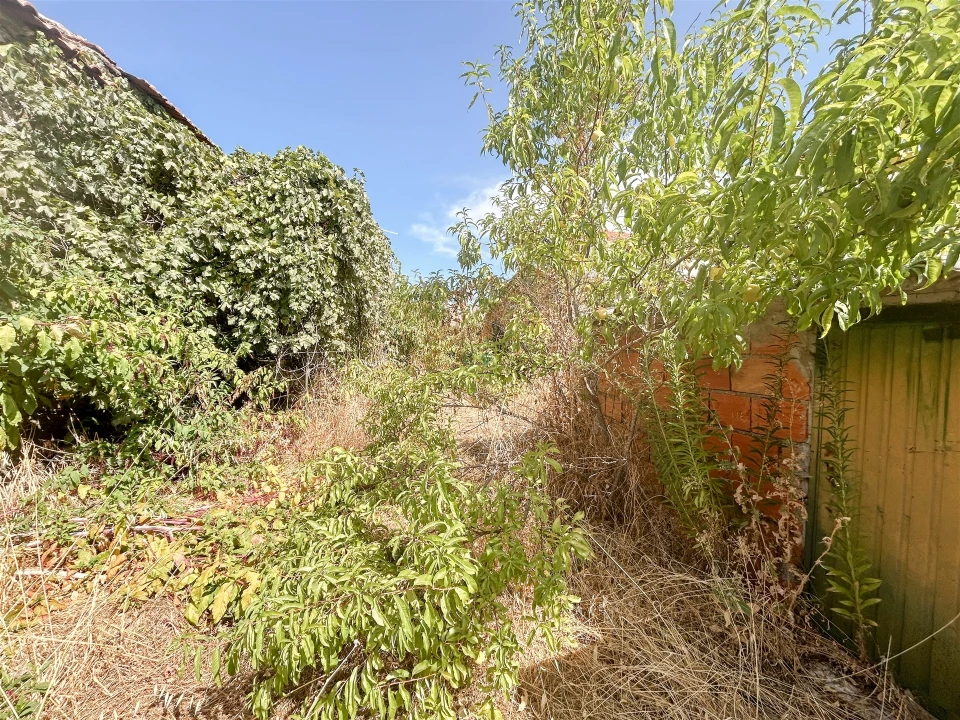 Moradia T2 para Venda em Aldeia do Bispo, Águas e Aldeia de João Pires Foto 54