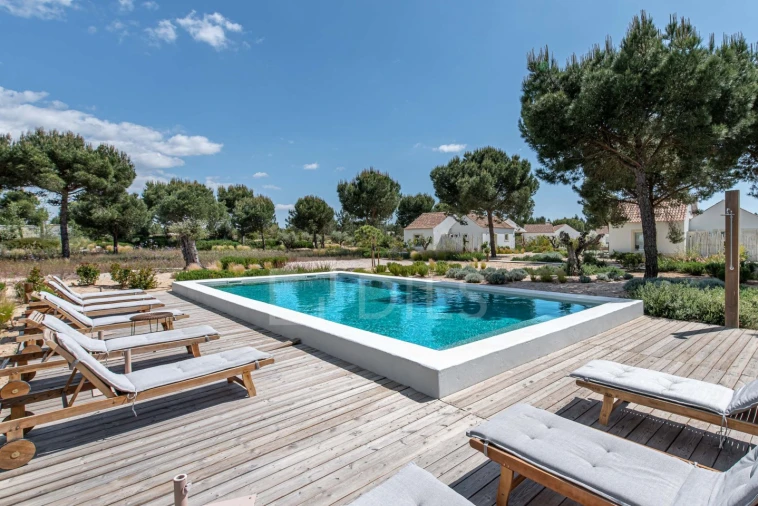 Moradia T1 para Venda em Grândola e Santa Margarida da Serra Foto 18