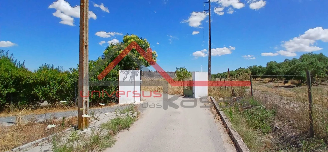 Quinta T8 para Venda em São Matias Foto 8