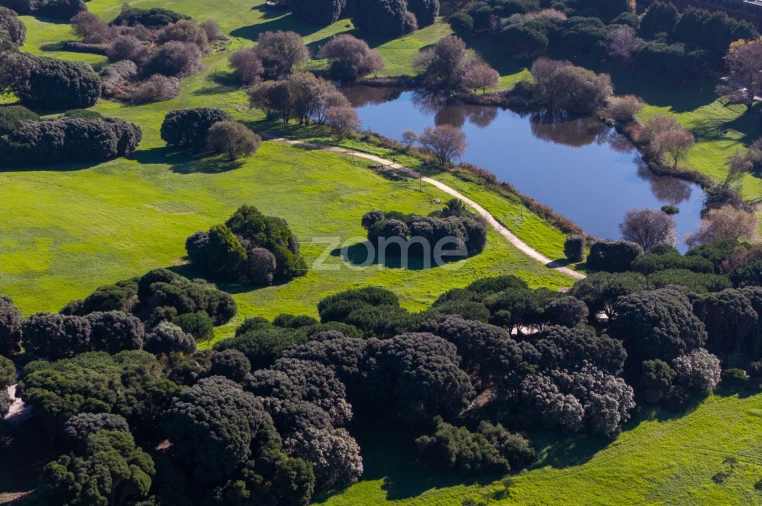 Apartamento T3 para Arrendamento em Matosinhos e Leça da Palmeira Foto 46