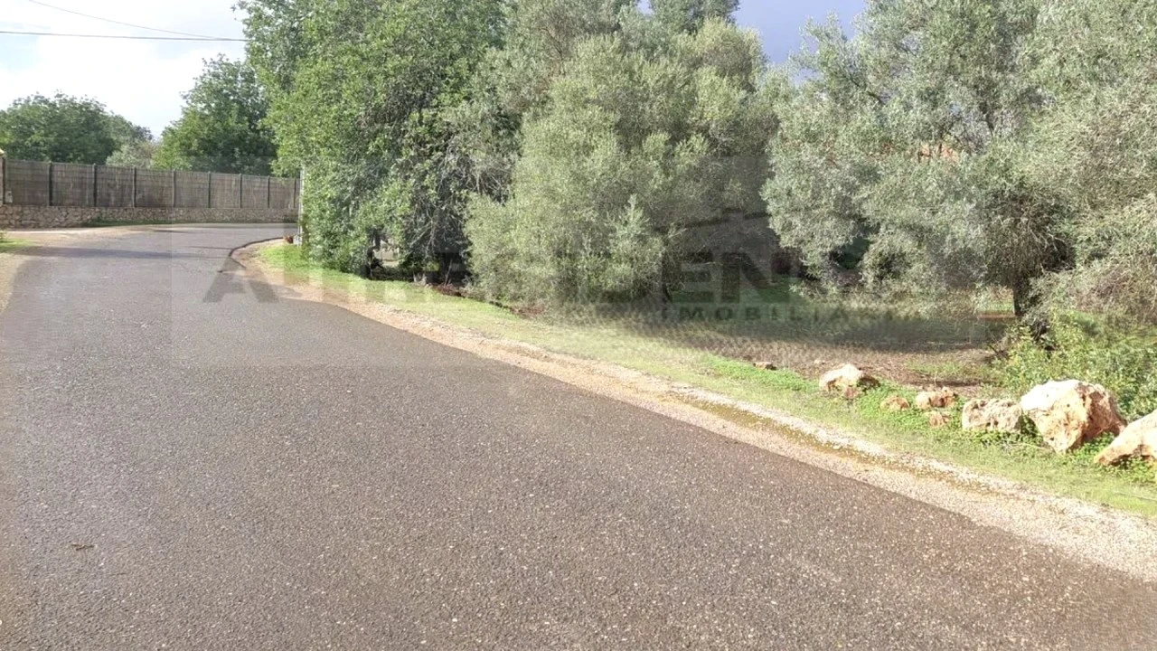 Terreno Agricola ou Rústico para Venda em Alte Foto 2