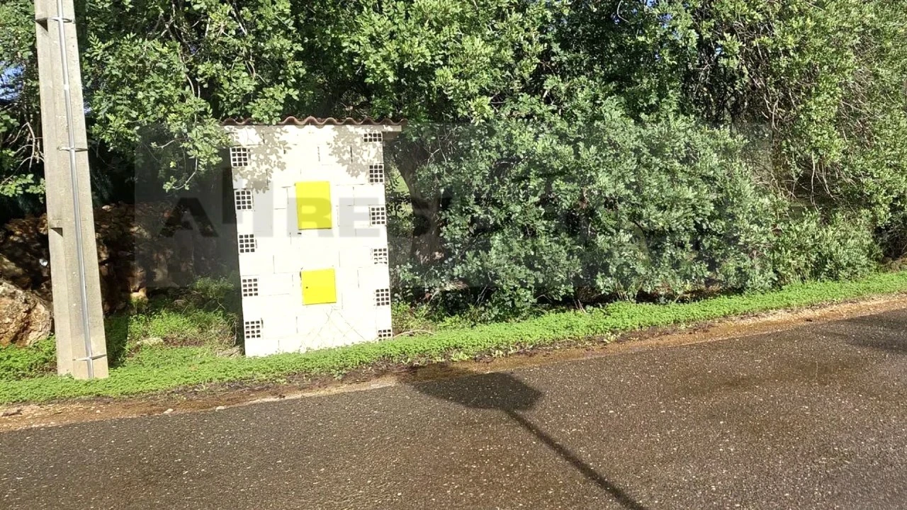 Terreno Agricola ou Rústico para Venda em Alte Foto 3