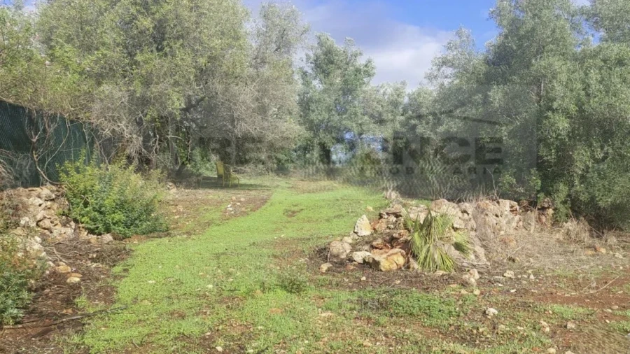 Terreno Agricola ou Rústico para Venda em Alte Foto 1