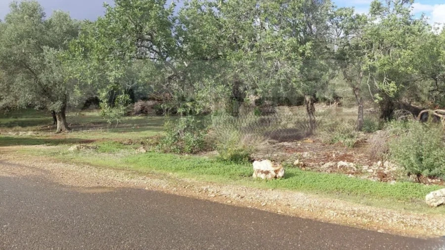 Terreno Agricola ou Rústico para Venda em Alte Foto 14