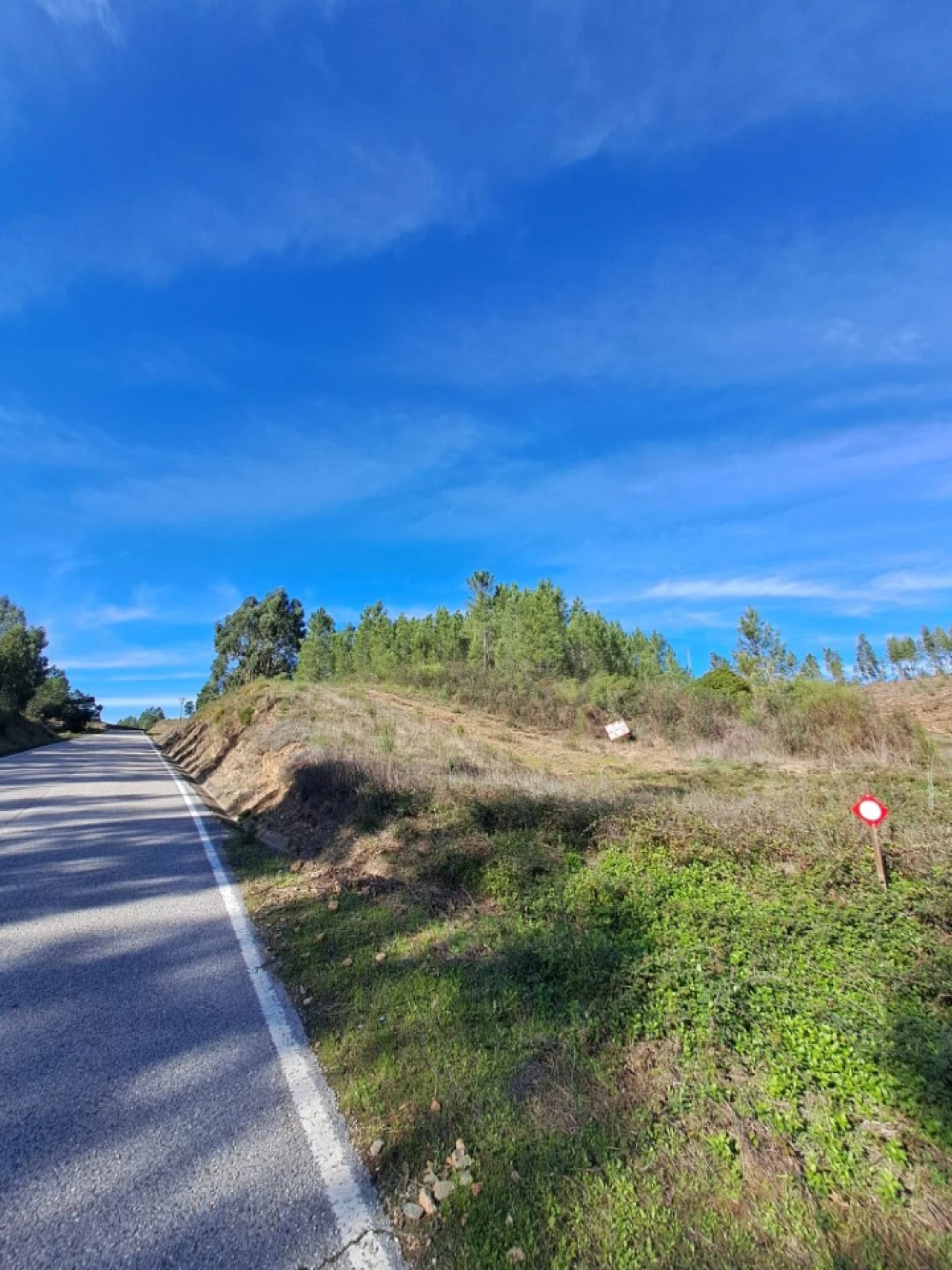 Terreno Agricola ou Rústico para Venda em Cardigos Foto 2