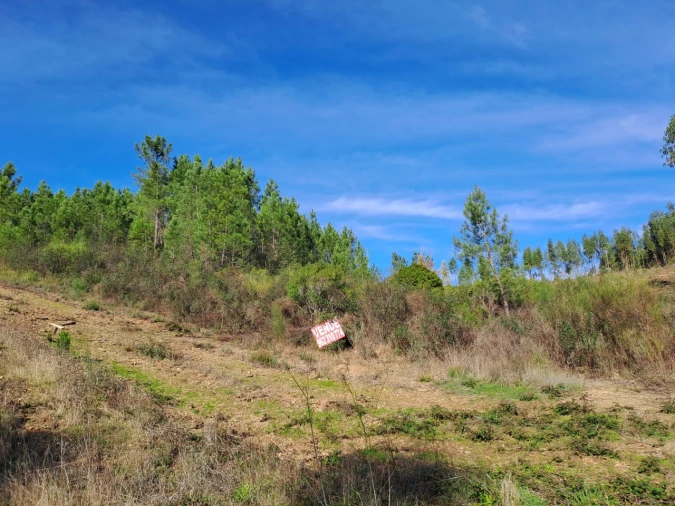 Terreno Agricola ou Rústico para Venda em Cardigos