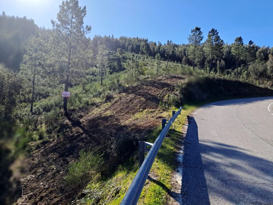 Terreno Agricola ou Rústico para Venda em Cardigos Foto 3