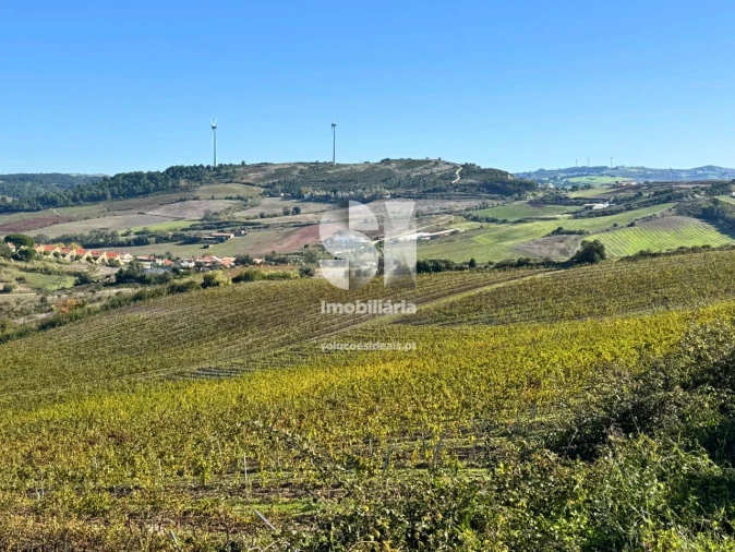 Terreno para Venda em Santa Maria, São Pedro e Matacães Foto 2