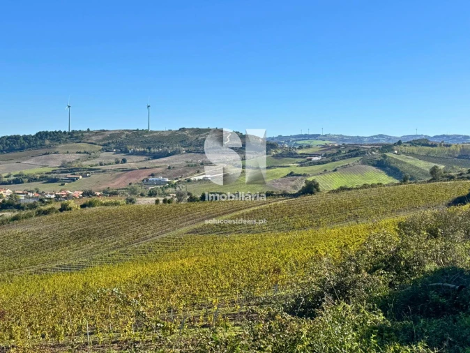 Terreno para Venda em Santa Maria, São Pedro e Matacães Foto 3