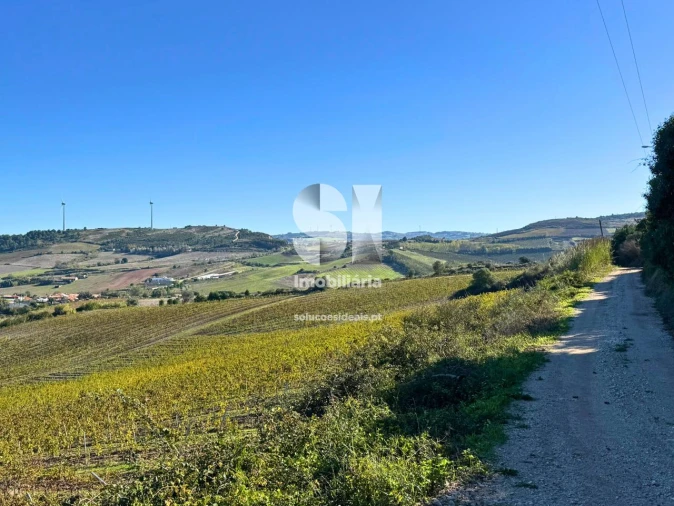Terreno para Venda em Santa Maria, São Pedro e Matacães Foto 4