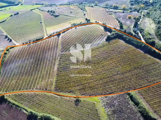 Terreno para Venda em Santa Maria, São Pedro e Matacães Foto 9