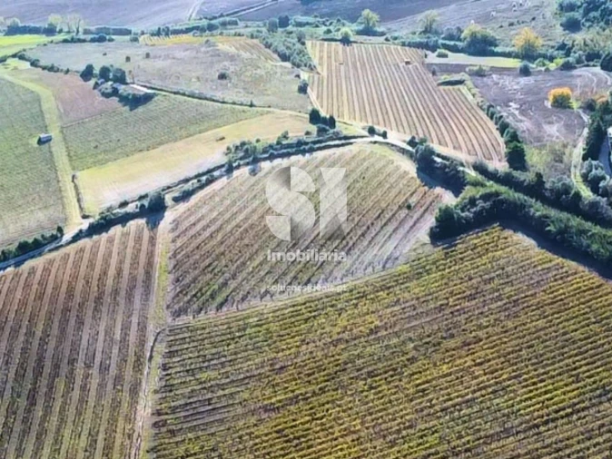 Terreno para Venda em Santa Maria, São Pedro e Matacães Foto 11