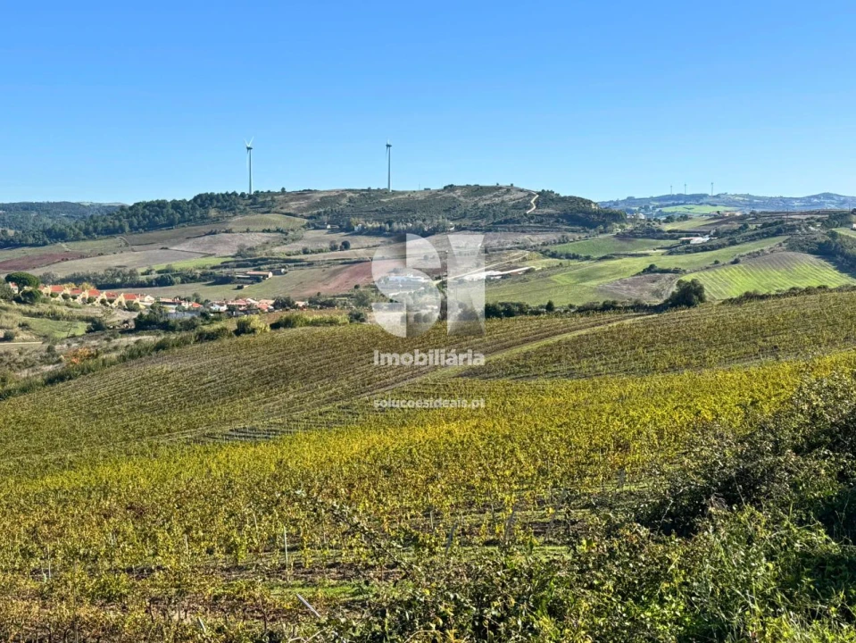 Terreno para Venda em Santa Maria, São Pedro e Matacães Foto 2