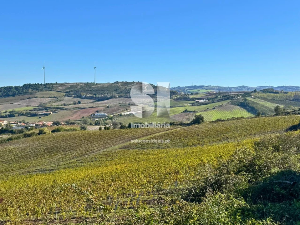 Terreno para Venda em Santa Maria, São Pedro e Matacães Foto 3