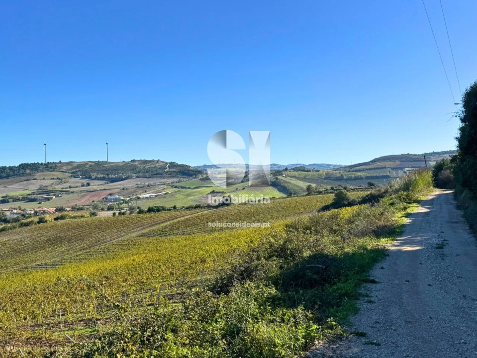 Terreno para Venda em Santa Maria, São Pedro e Matacães Foto 4