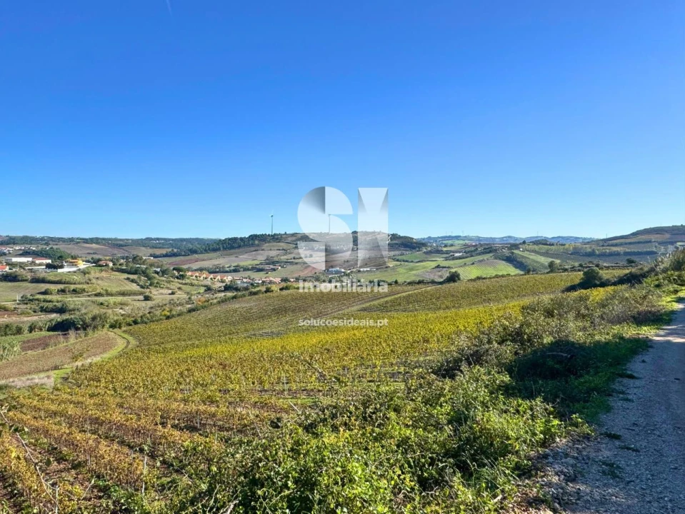 Terreno para Venda em Santa Maria, São Pedro e Matacães Foto 5