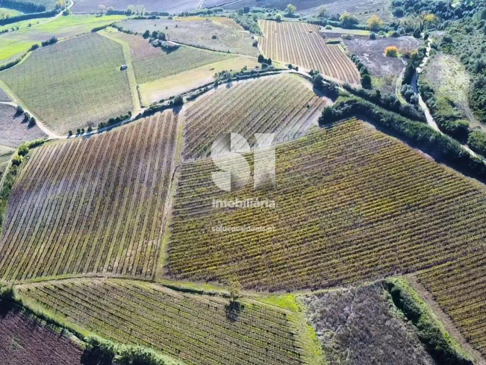 Terreno para Venda em Santa Maria, São Pedro e Matacães Foto 8