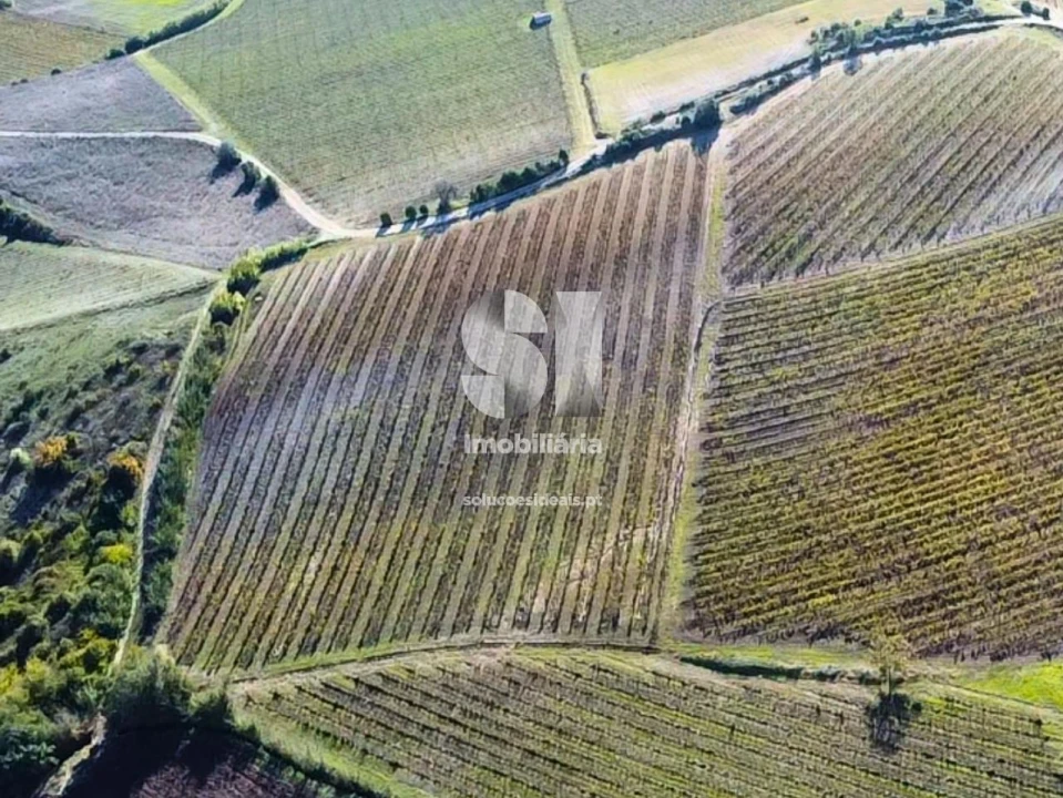 Terreno para Venda em Santa Maria, São Pedro e Matacães Foto 10