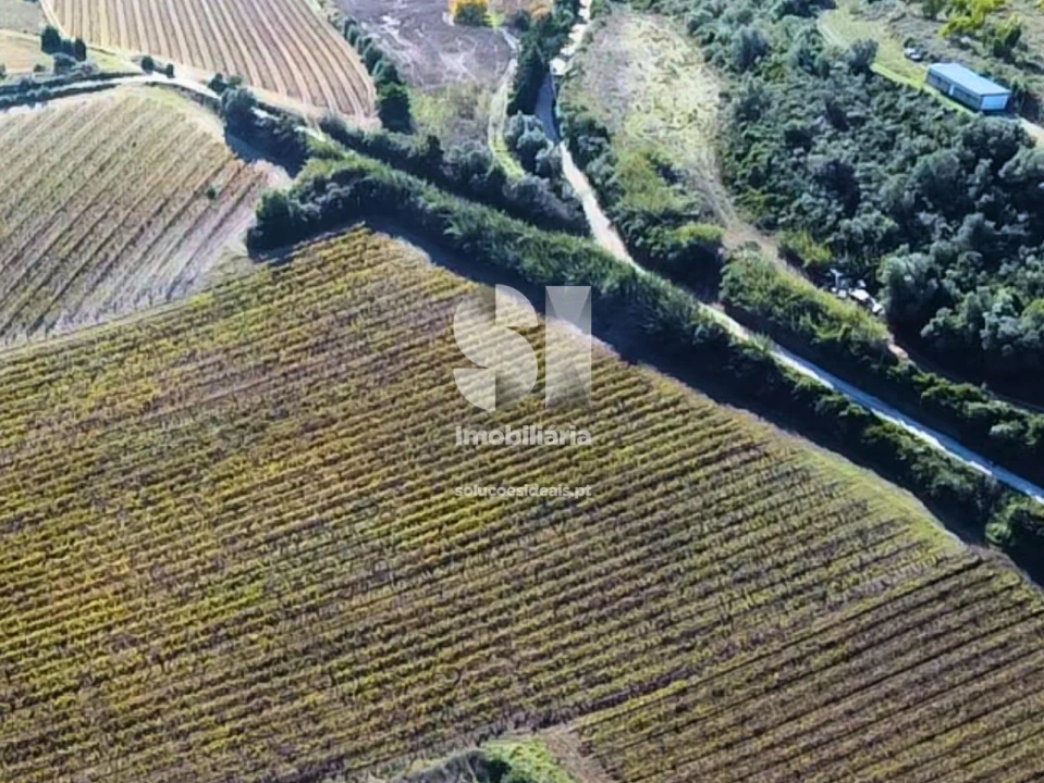 Terreno para Venda em Santa Maria, São Pedro e Matacães Foto 12