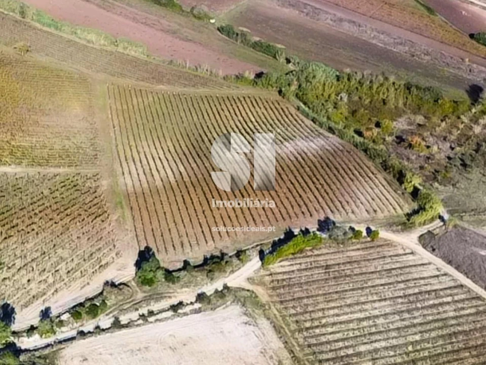 Terreno para Venda em Santa Maria, São Pedro e Matacães Foto 16