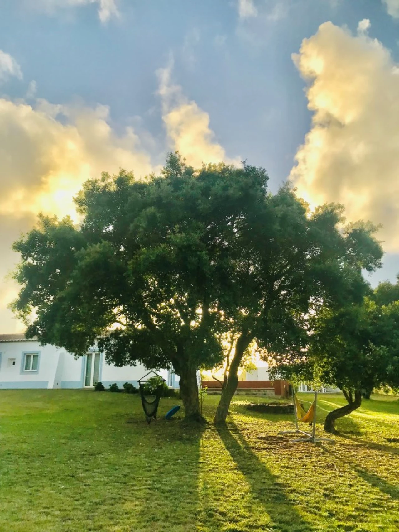Negócio para Venda em São Teotónio Foto 47