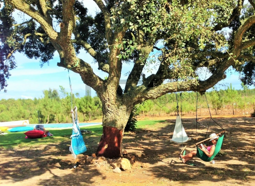 Negócio para Venda em São Teotónio Foto 57