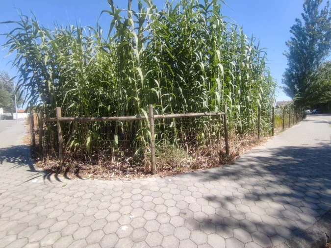 Terreno para Venda em São Bernardo Foto 4