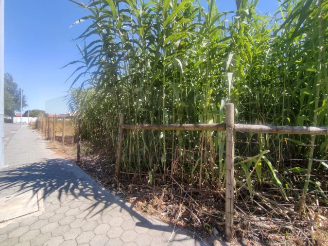 Terreno para Venda em São Bernardo Foto 5