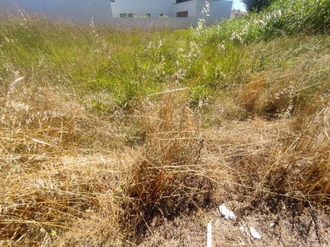 Terreno para Venda em São Bernardo Foto 10